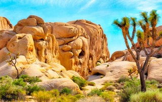 Desert Hot Springs Real Estate for sale and rent